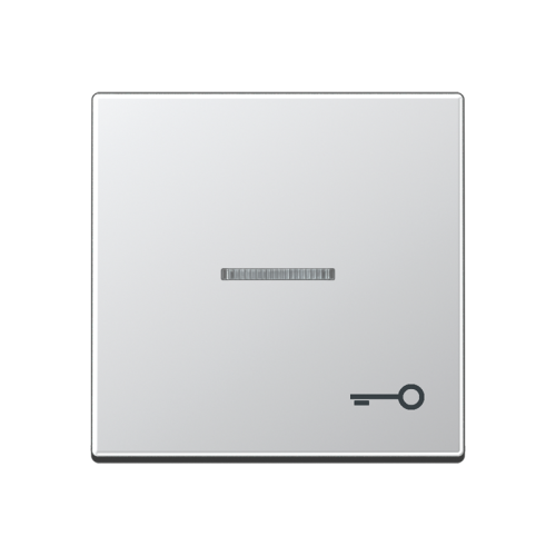 Jung Schakelwip A500 alu. m.lens&sym.sleutel - 4011377043961 - 20016107