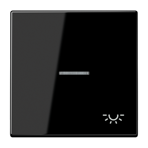 Jung Schakelwip LS990 zwart m.lens&symb.licht - 4011377043985 - 20019650