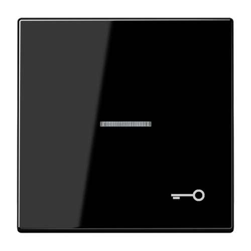 Jung Schakelwip LS990 zwart m.lens&symb.sleut - 4011377044012 - 20019657