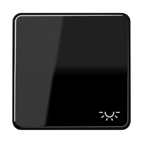 Jung Schakelwip CD500 zwart met lichtsymbool - 4011377067202 - 20018212