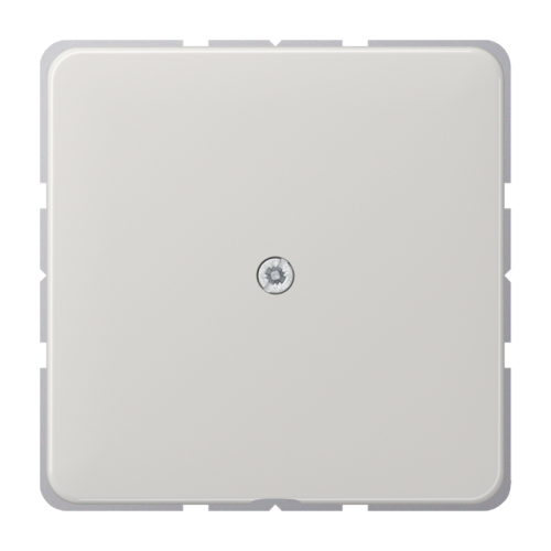 Jung Afdekking CD500 lichtgrijs v.kabelinv. - 4011377089150 - 20018068