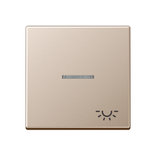 Jung Schakelwip lampsymbool+lens A500 champ - 4011377096240 - 20016100