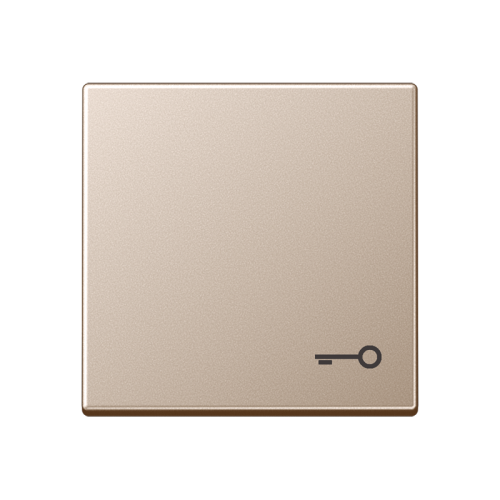 Jung Schakelwip sleutelsymb. A500 champagne - 4011377096301 - 20016135
