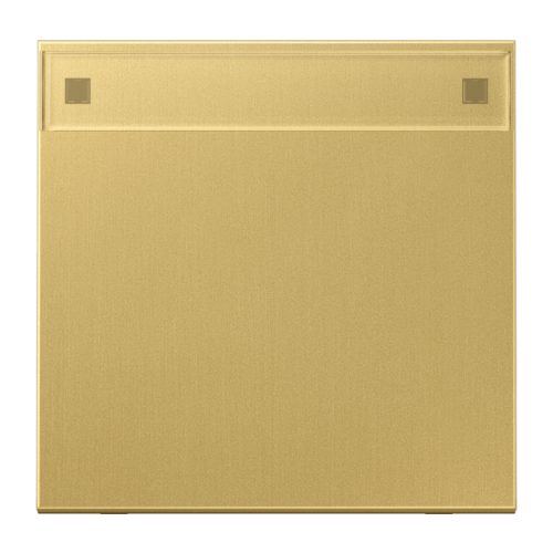 Jung Schakelwip tekstvenster LS messing klass - 4011377101296 - 20020257