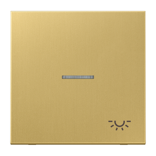Jung Schakelwip lampsymb.+lens LS mess.klass. - 4011377101463 - 20020251