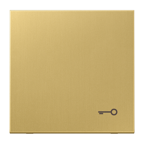 Jung Schakelwip sleutelsymb. LS messing klass - 4011377101562 - 20020261
