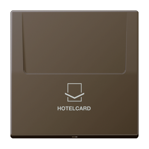 Jung Afdekking hotelcard LS messing antiek - 4011377101616 - 20020234