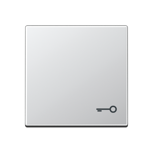 Jung Schakelwip A500 alu.met symb. sleutel - 4011377125957 - 20016134