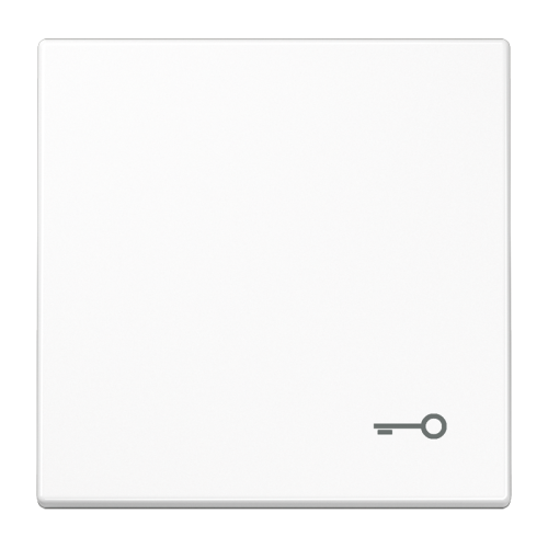Jung Schakelwip LS990 a.wit m. symb. Sleutel - 4011377137004 - 20019713