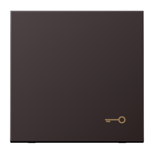 Jung Schakelwip LS-Dark m.symb. sleutel - 4011377140301 - 20016788