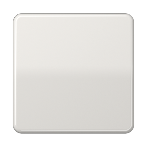 Jung LB taster CD 1v stand. lichtgrijs - 4011377152595 - 20017718