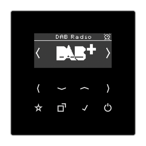 Jung Smartradio DAB+ LS990 zwart - 4011377172371 - 20018417
