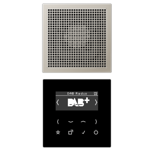 Jung Smartradio DAB+ mono LS-edelstaal - 4011377172432 - 20018399