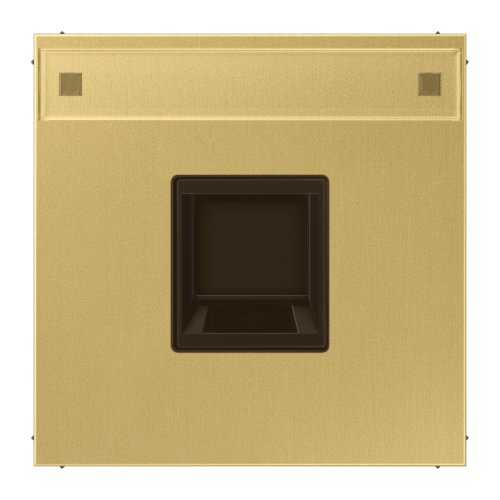 Jung Afdek.LS messing clas.v.mod.jack 1-vdg. - 4011377178366 - 20020177