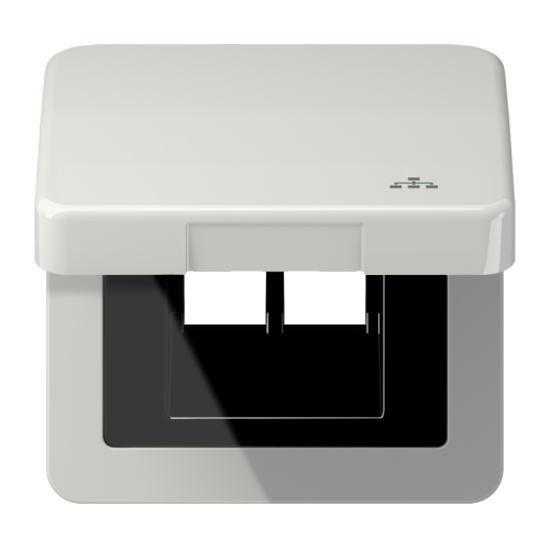 Jung Klapdeksel CD500 li.grijs met symb.LAN - 4011377178922 - 20018132