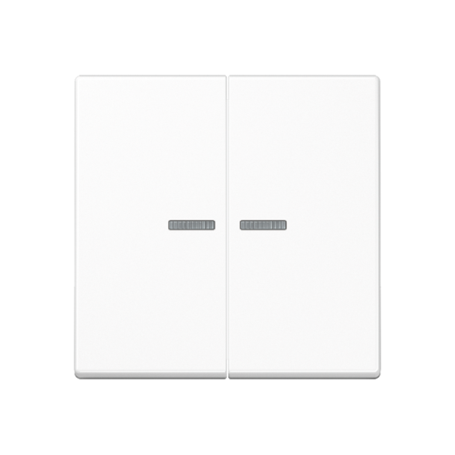 Jung Schakelwip A500 alp.wit serie controle - 4011377179608 - 20016207