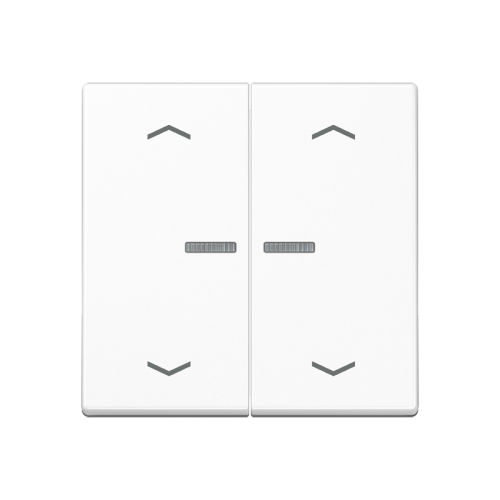 Jung Wip A500 awi lens&pijl v.KNX F10 tast.2v - 4011377180307 - 20015160