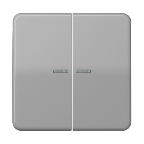 Jung Schakelwip CD500 grijs serie controle - 4011377180604 - 20018280