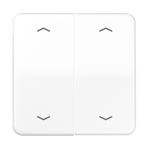 Jung Schakelwip CD500 a.w.pijlsymb.v.BA-tast. - 4011377180758 - 20018291