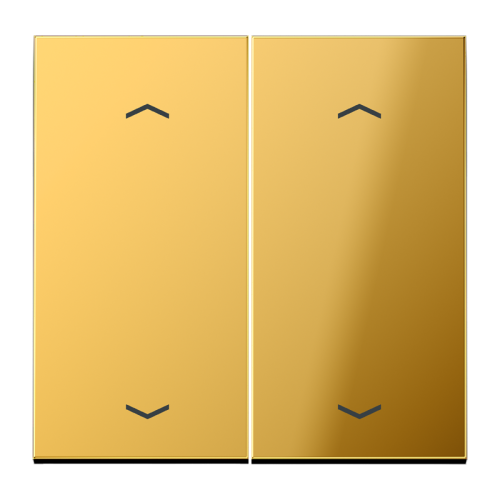 Jung Wip LS-goudkl.m pijl v.KNX F10 tast.2v - 4011377181762 - 20018813