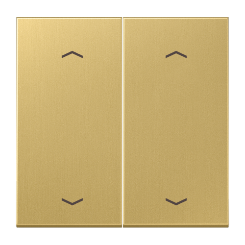 Jung Wip LS-mes.clas.m pijl v.KNX F10 tast.2v - 4011377181779 - 20020120