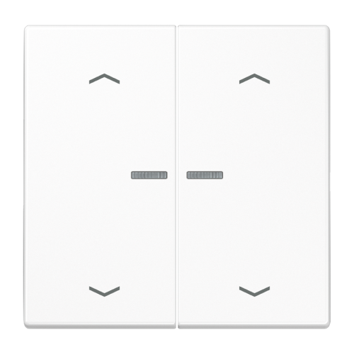 Jung Wip LS990 a.wit lens&p.v.KNX F10 tast.2v - 4011377181915 - 20018890