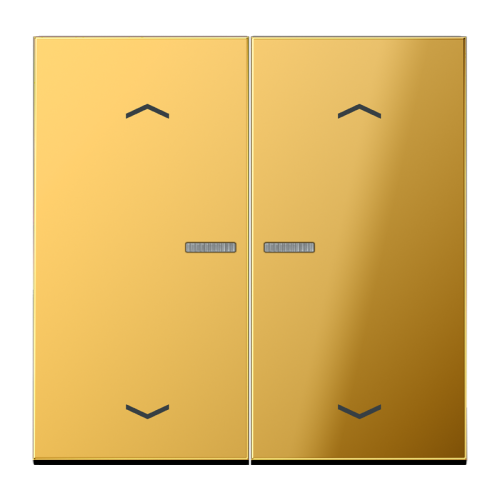Jung Wip LS-goudkl.lens&p.v.KNX F10 tast.2v - 4011377181984 - 20018812