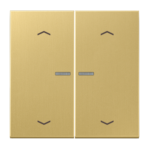 Jung Wip LS-mes.clas.lens&p.v.KNX F10 tast.2v - 4011377181991 - 20020118