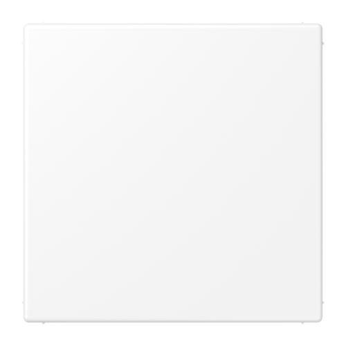 Jung Losse blindplaat LS990 sneeuwwit mat - 4011377186941 - 20019735
