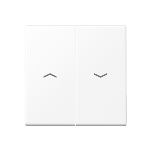 Jung Schakelwip A500 wit mat met pijlsymbolen - 4011377189164 - 20016216