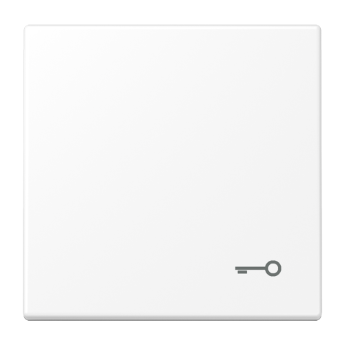 Jung Schakelwip LS990 matwit m.symb. sleutel - 4011377204263 - 20019714