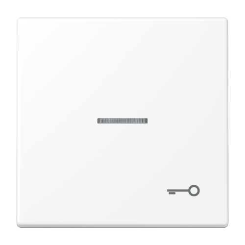 Jung Schakelwip LS990 matwt m.lens&symb.sleut - 4011377204270 - 20019660