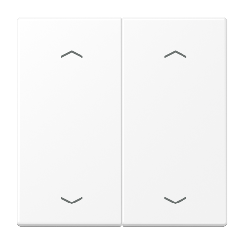 Jung Wip LS990 matwt m.pijl v.KNX F10 tast.2v - 4011377204485 - 20018902