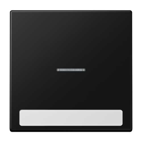 Jung Schakelwip LS990 matzw. lens&tekstvenst. - 4011377205666 - 20019680