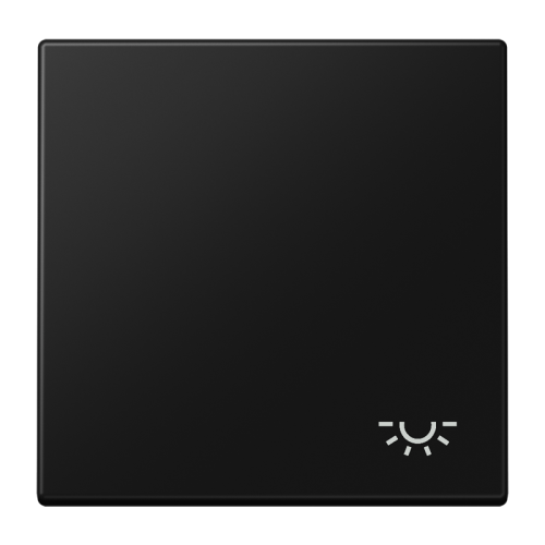 Jung Schakelwip LS990 matzw. m.symbool licht - 4011377205673 - 20019671