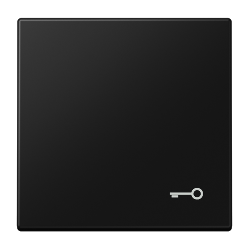 Jung Schakelwip LS990 matzw. m.symb. sleutel - 4011377205710 - 20019705