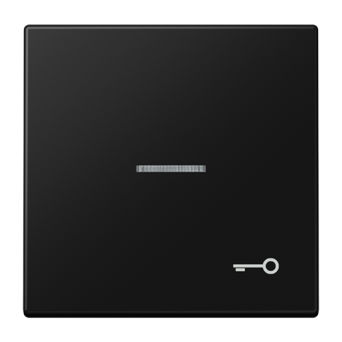 Jung Schakelwip LS990 matzw m.lens&symb.sleut - 4011377205727 - 20019658