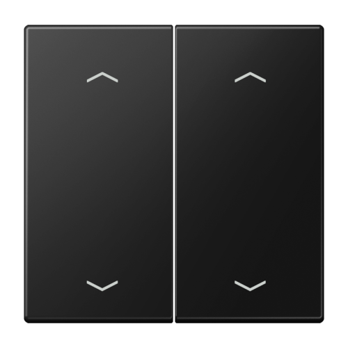 Jung Wip LS990 matzw m.pijl v.KNX F10 tast.2v - 4011377205925 - 20018900