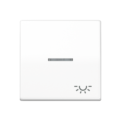Jung Schakelwip AS500 a.wit m.lens&sym.licht - 4011377215627 - 20017190