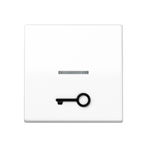 Jung Schakelwip AS500a.wit m.lens&sym.sleutel - 4011377215689 - 20017201