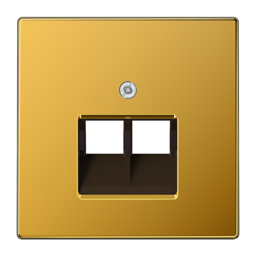 Jung Afdekking LS-goud 24kar.v.UAE data 2-vdg - 4011377229259 - 20019539