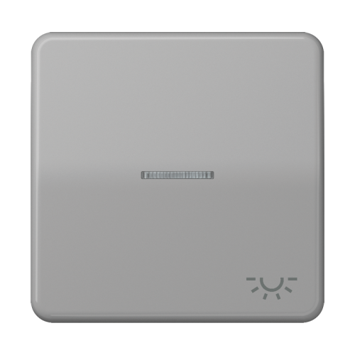 Jung Schakelwip CD500 grijs m.lens&lichtsymb. - 4011377253858 - 20018174