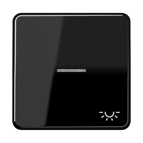 Jung Schakelwip CD500 zwart m.lens&lichtsymb. - 4011377254152 - 20018177