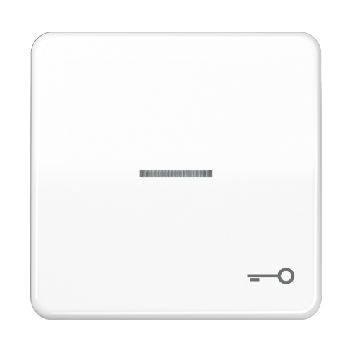 Jung Schakelwip CD500 al.w m.lens&sleut.symb. - 4011377255555 - 20018188