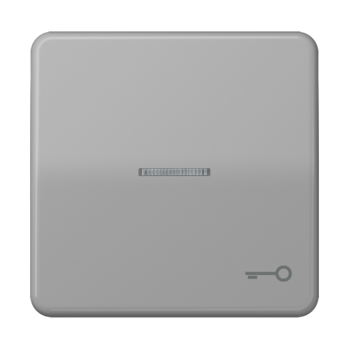 Jung Schakelwip CD500 gr.m.lens&sleut.symb. - 4011377255852 - 20018184