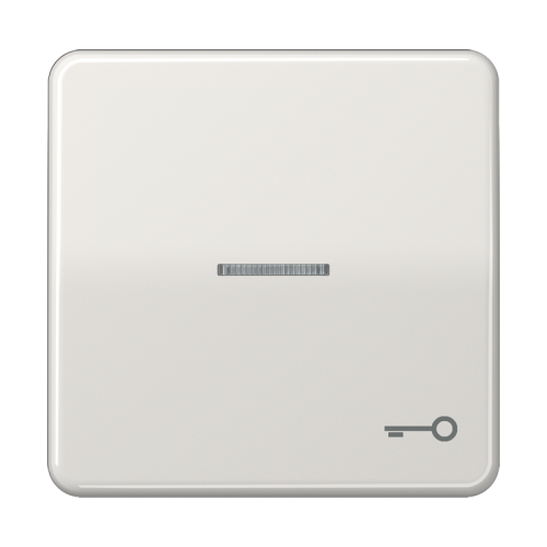 Jung Schakelwip CD500 l.gr.m.lens&sleut.symb. - 4011377256057 - 20018185