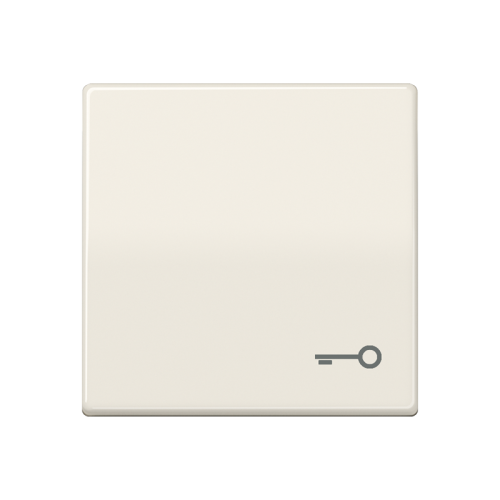 Jung Schakelwip AS500 wit m.symb. sleutel - 4011377297852 - 20017199
