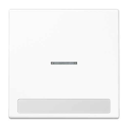 Jung Schakelwip LS990 a.wit lens&tekstvenst. - 4011377308459 - 20019681