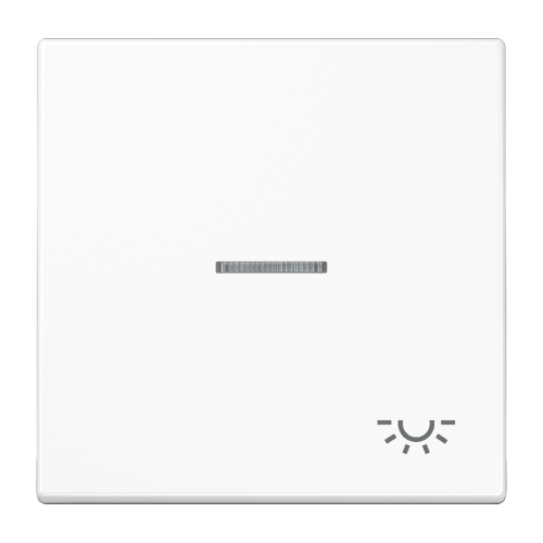 Jung Schakelwip LS990 a.wit m.lens&symb.licht - 4011377344259 - 20019652