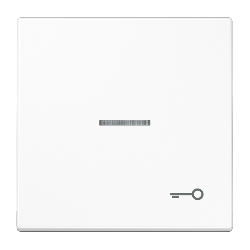 Jung Schakelwip LS990 a.wit m.lens&symb.sleut - 4011377344358 - 20019659